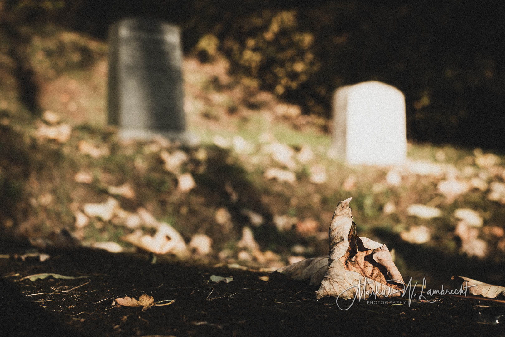 Sachsenhausen (Waldeck), Jüdischer Friedhof